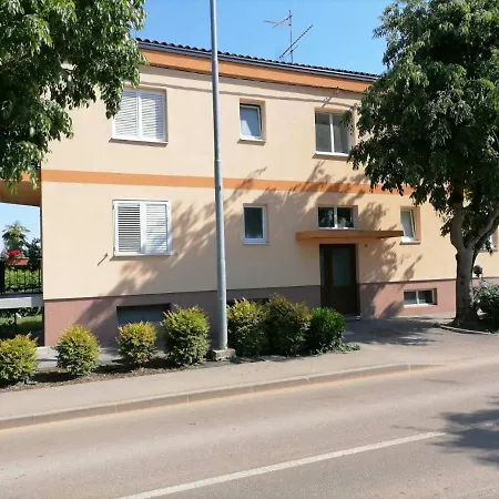 Bolf Apartment Novigrad  Exterior photo